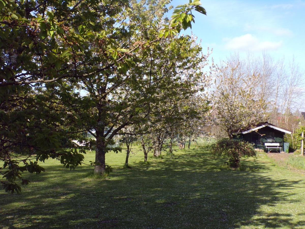 Ferienwohnung Aurich Sandhorst Eg Mit Terrasse Und Kleinem Garten Luaran gambar